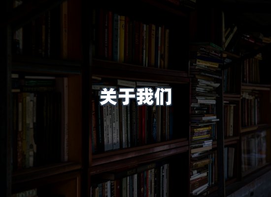 专业团队